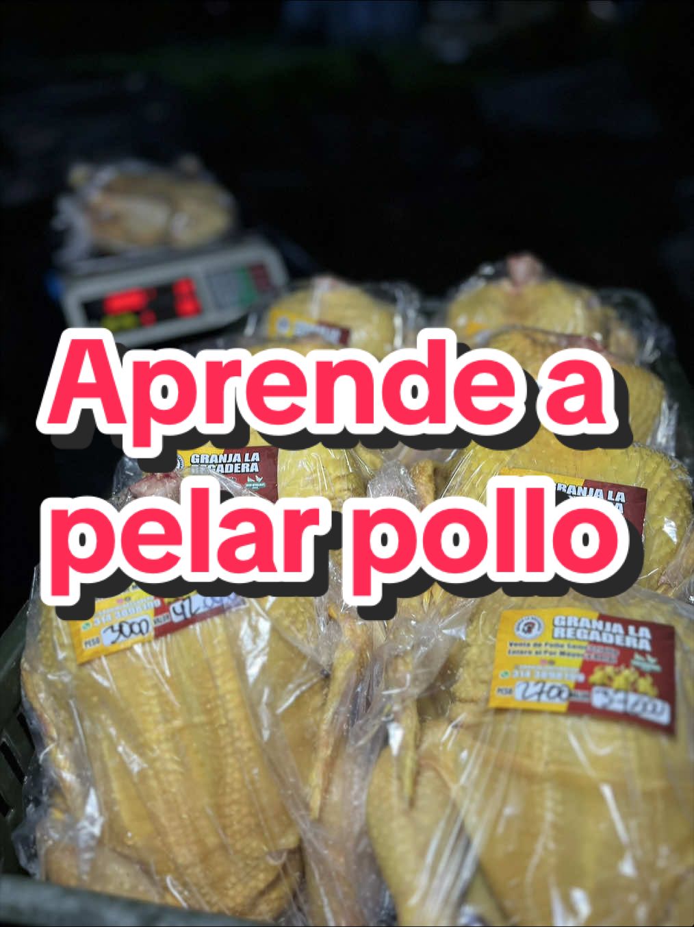 @elmagnatedelospollos