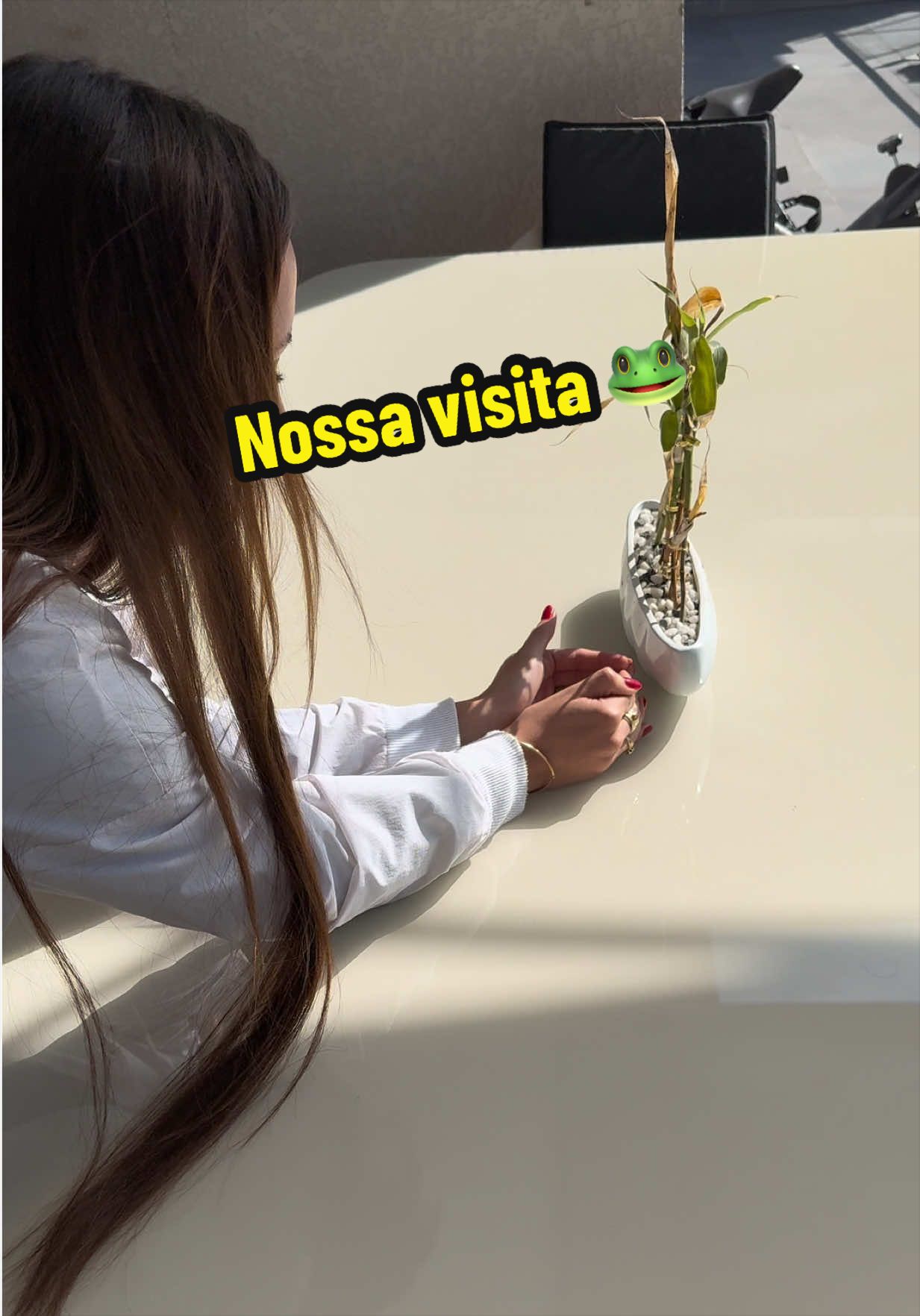 @Bianca Jesuino