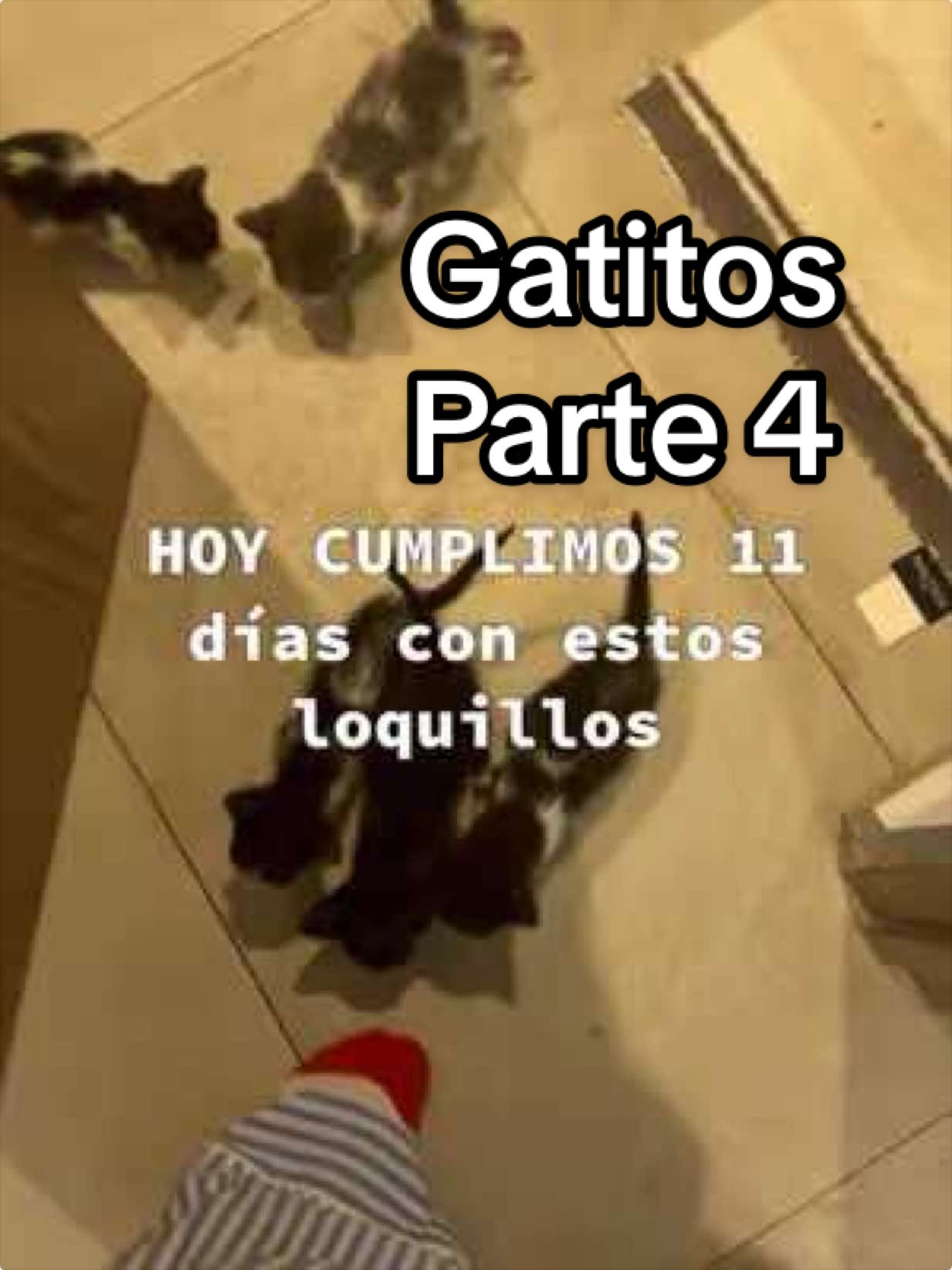 @Cecy Gonzalez
