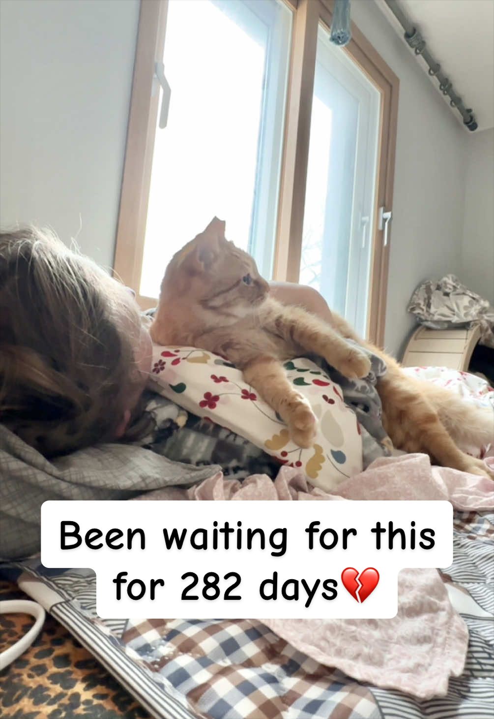 @MyStrayCheese