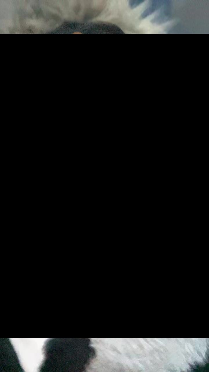 @ACExd