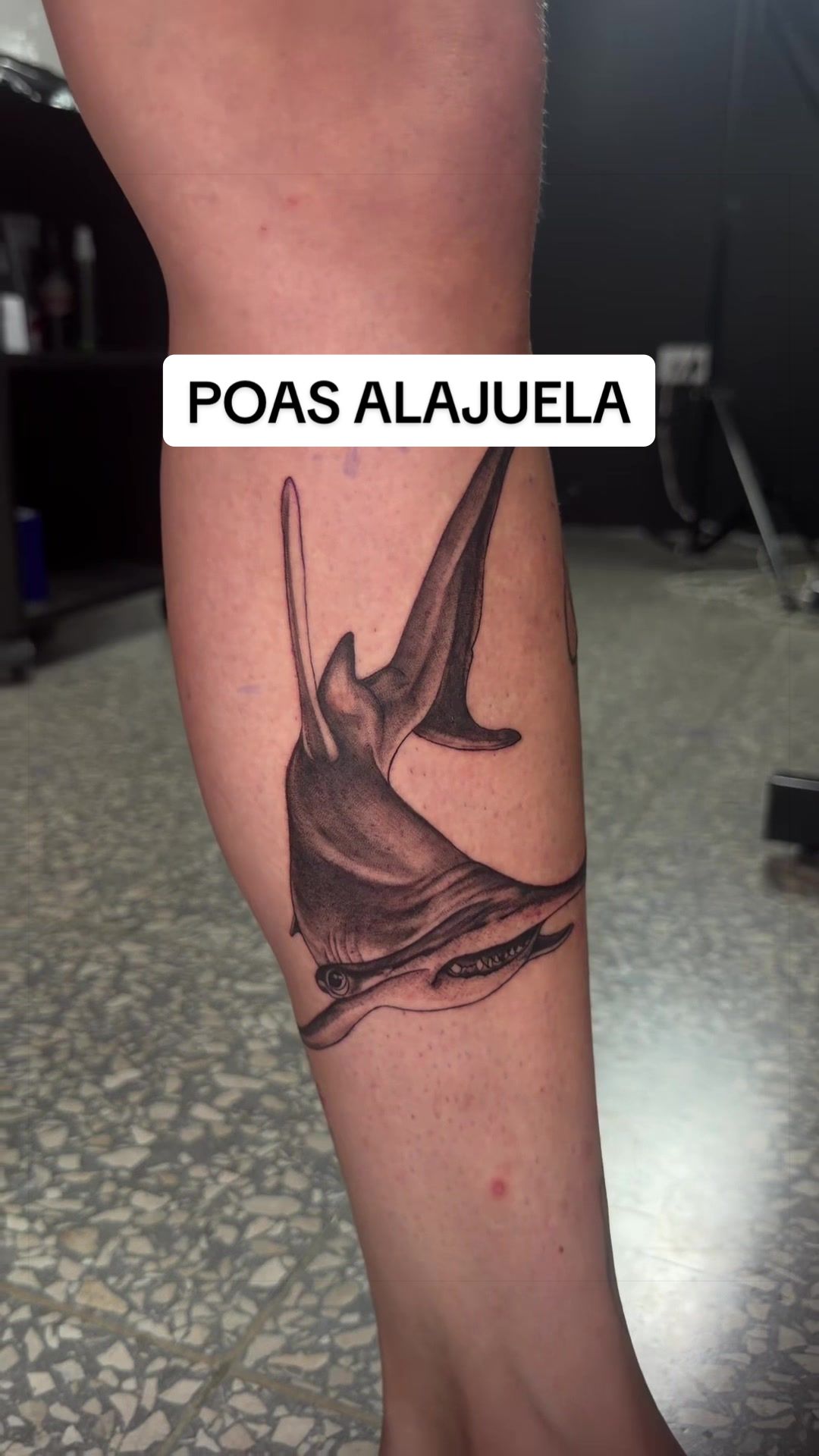 @Evangelina Gonzalez
