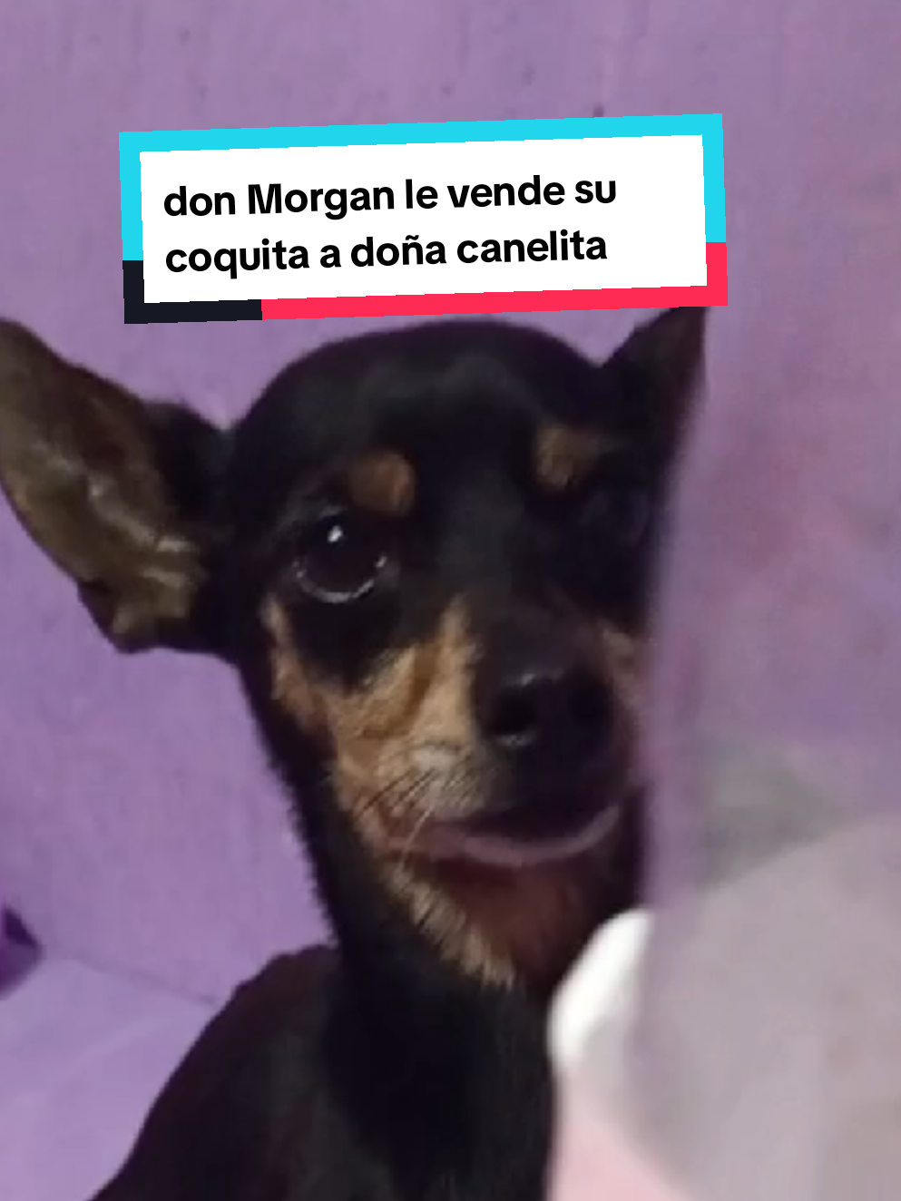 @Michi katyblox