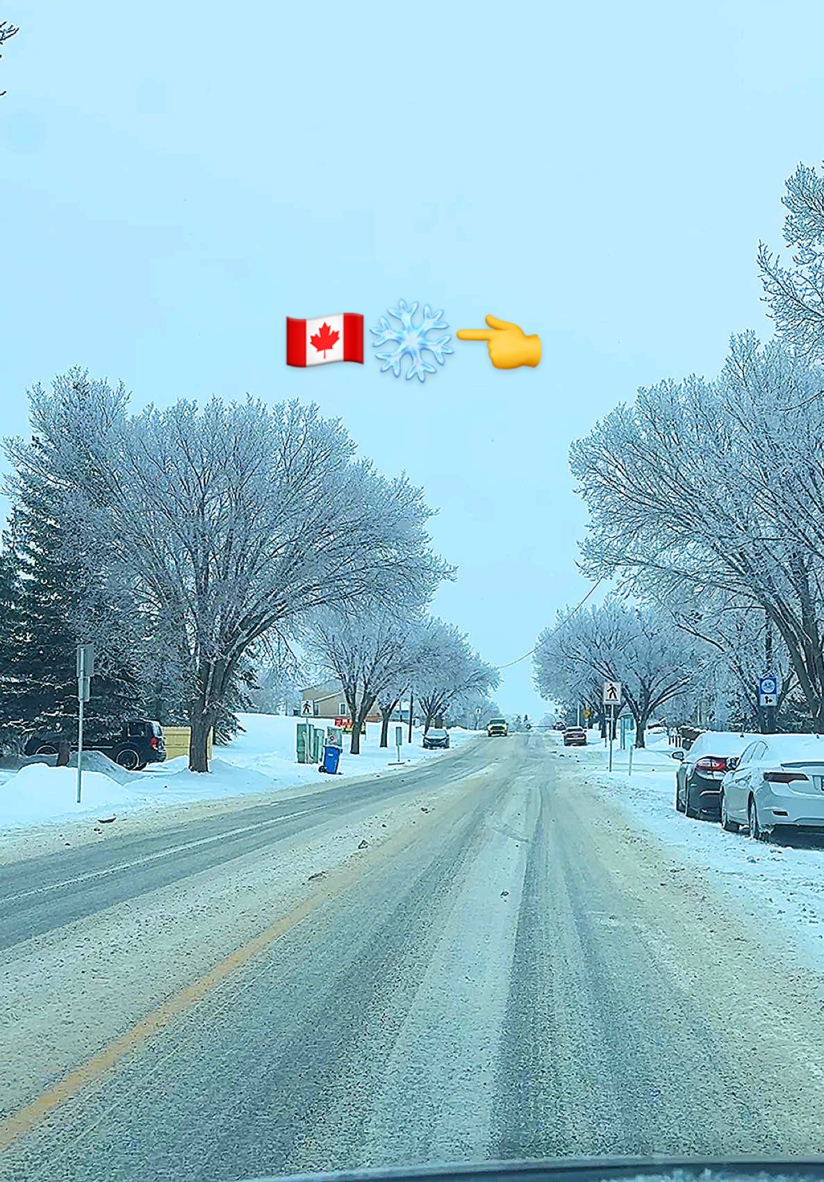 @Canada View🇨🇦