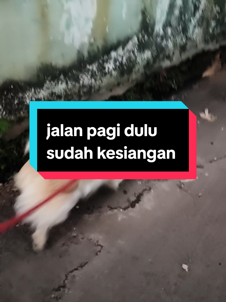 @Sarah Purnama ❤️❤️❤️