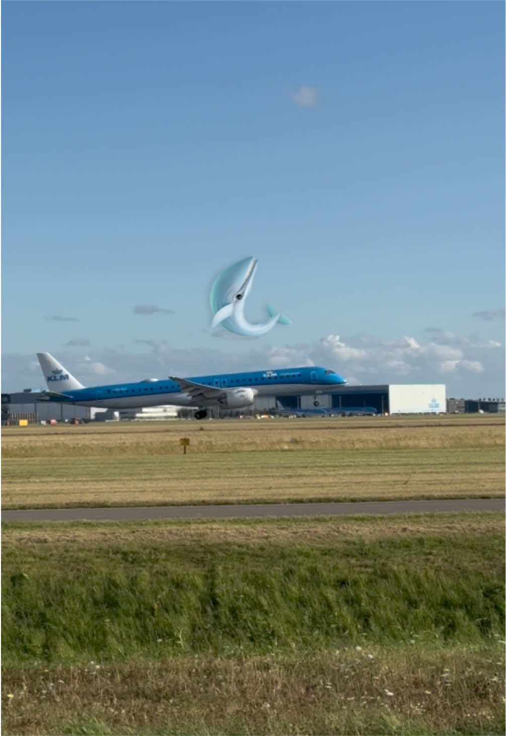 @PDFlightLog