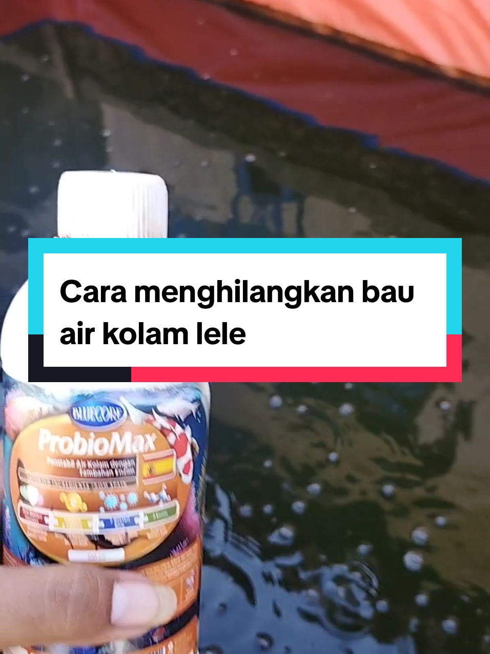 @Kang_Ewi