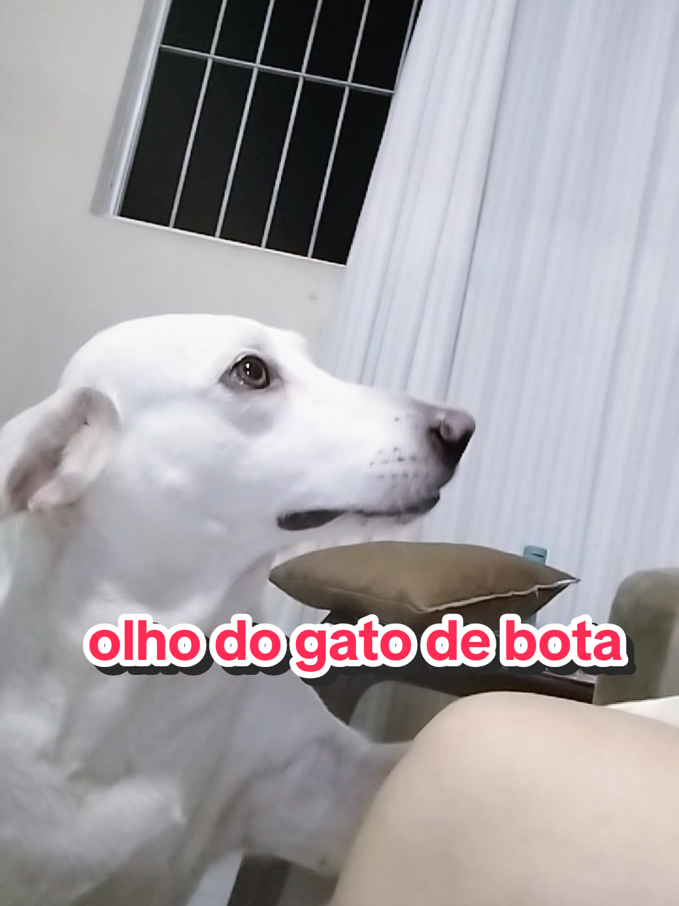 @Mel e zayon