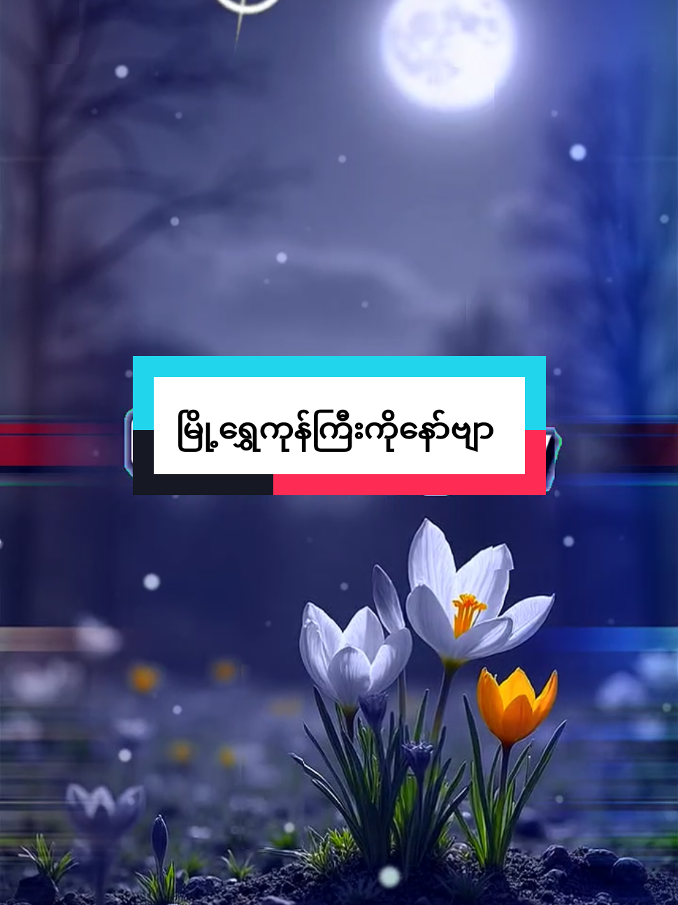 @đ
đ
~đđ¨~đđ˛đ˘