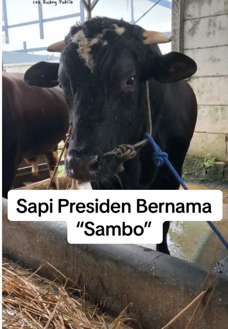 @Cek Ruang Publik