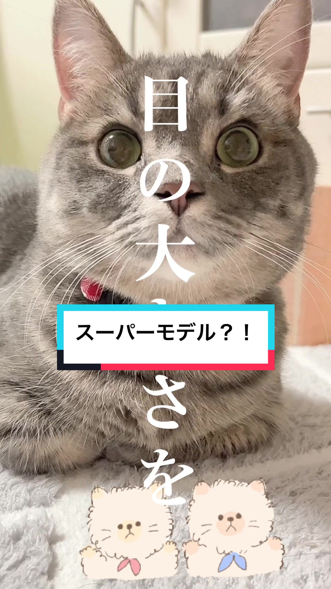 @ふたばꕤ︎︎