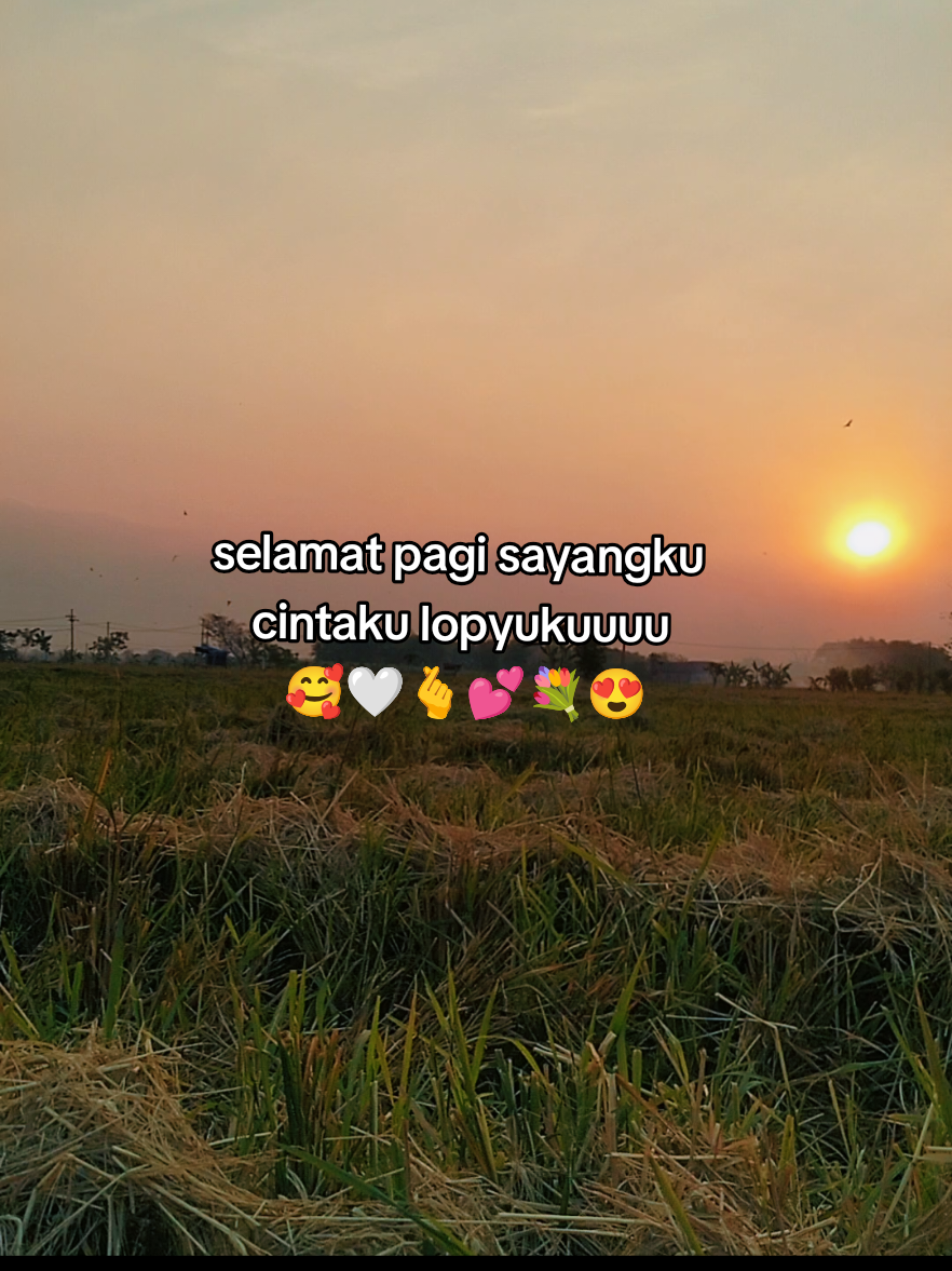 @rendo | 𝐓'𝐖𝐑𝐆