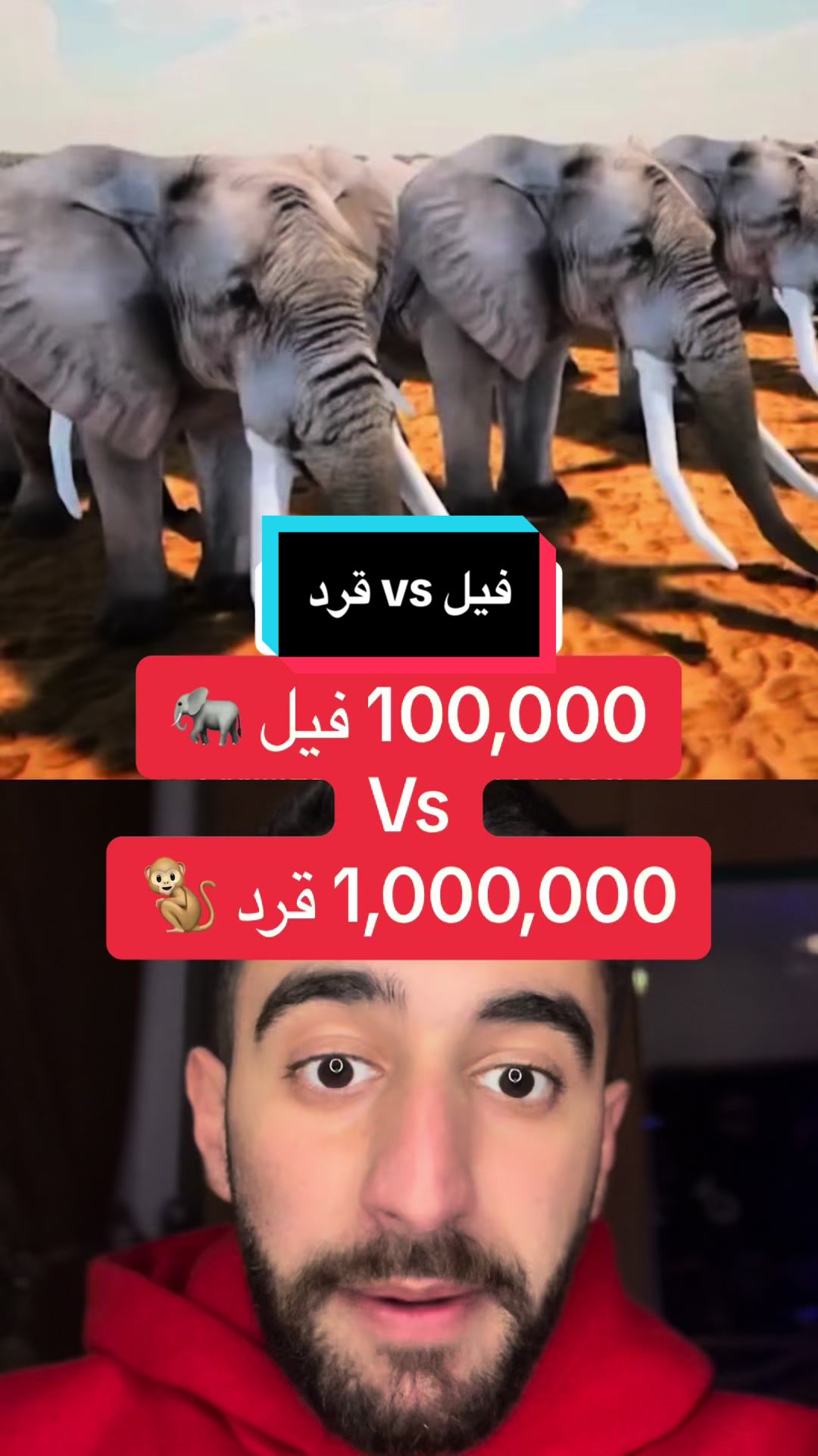 @Mahmoud Baghdadi