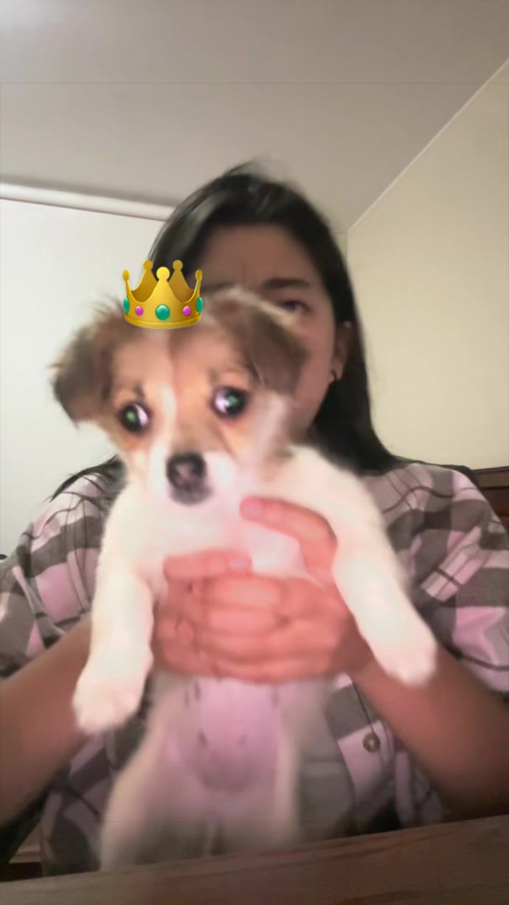 @Soy_Dome