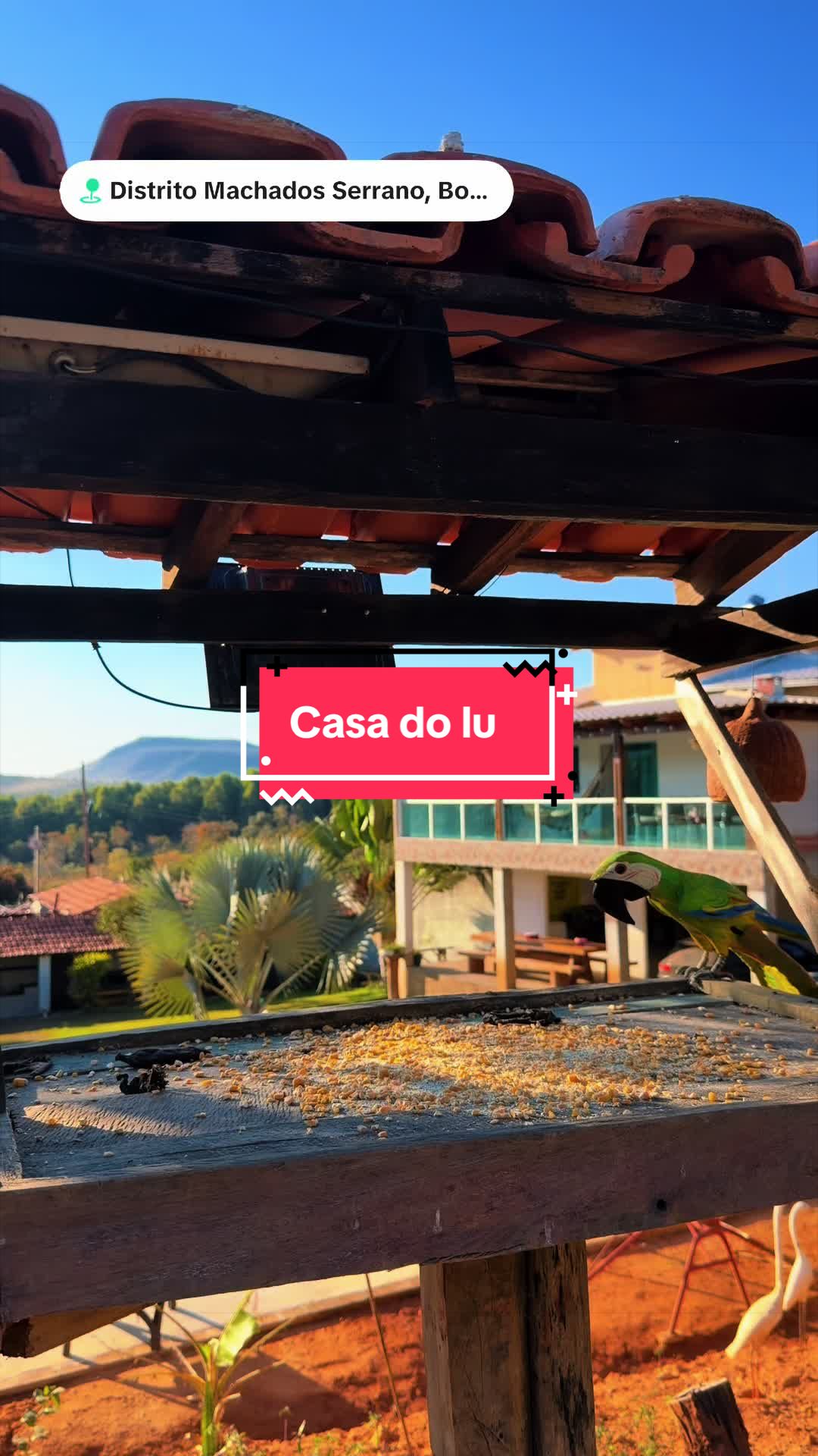 @paulo Luciano ( MG)