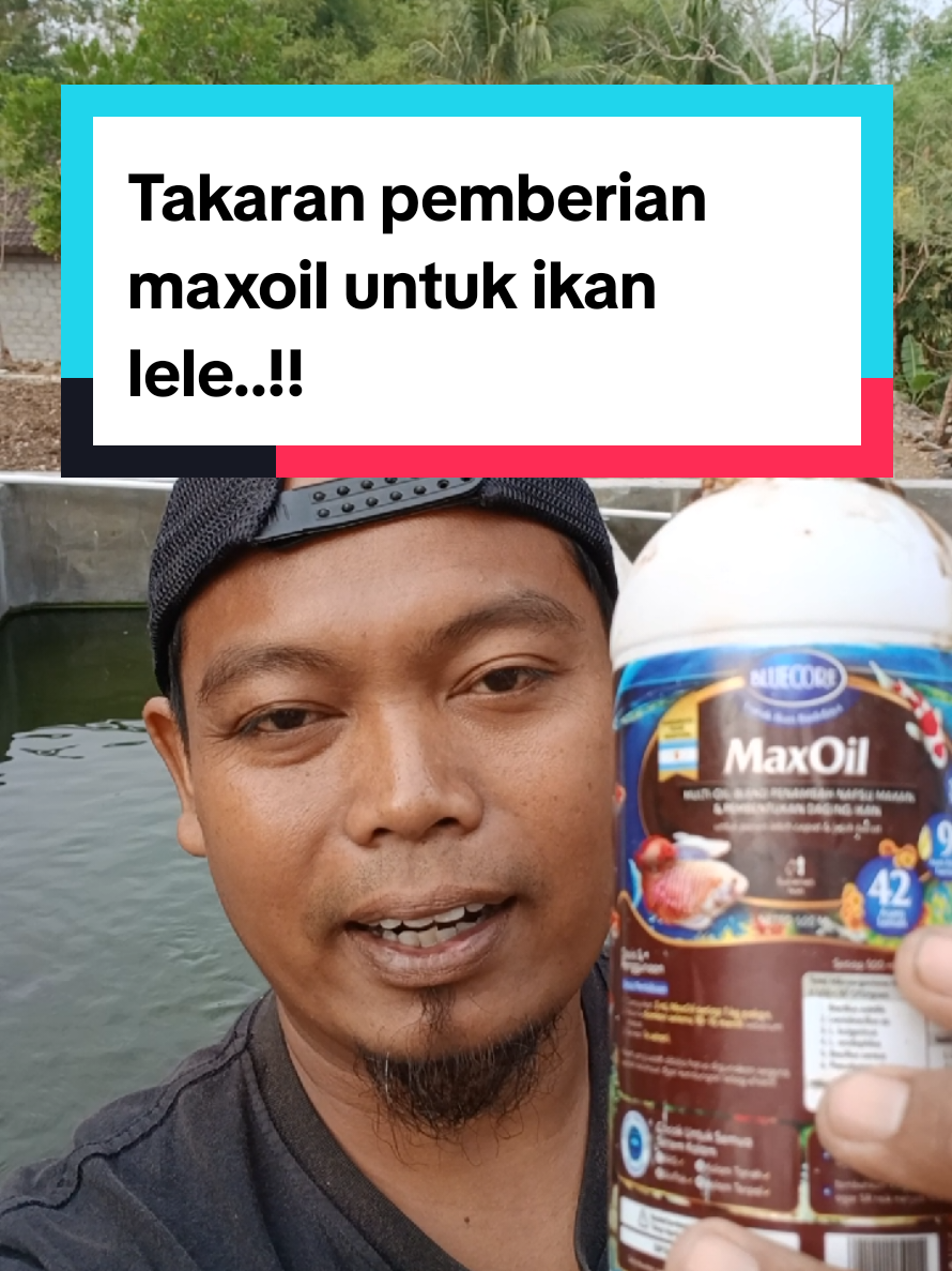 @Kang_Ewi