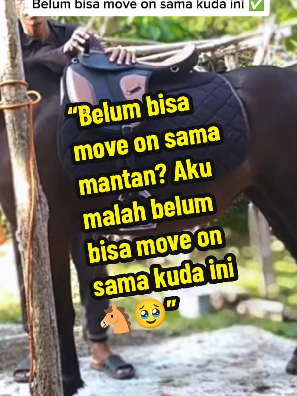 @Nono Mbanyumas