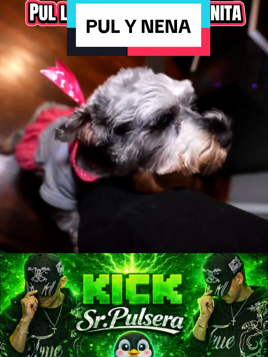 @𝓖𝓪𝓽𝓲𝓽𝓸 🐈⬛