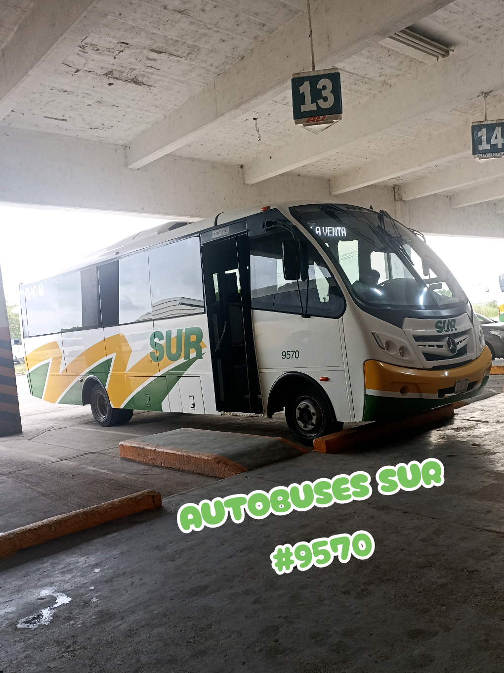@Busologia Veracruzana 🍀🚍
