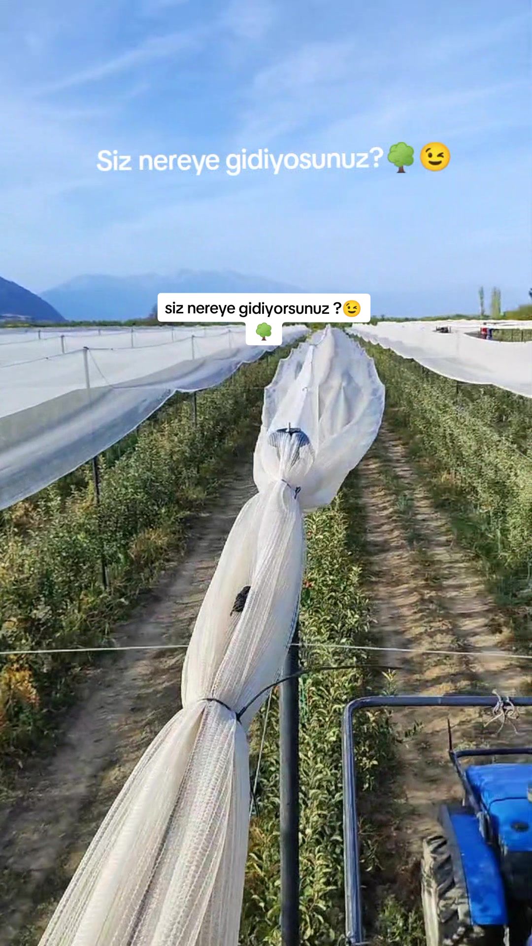 @kadişş
