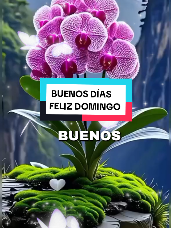 @chin@❤