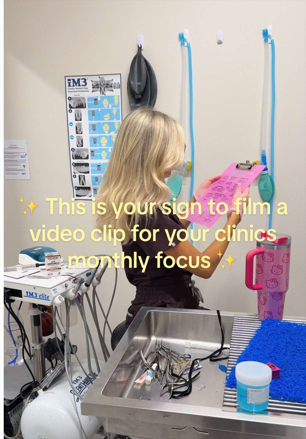 @Tess the Vet Nurse