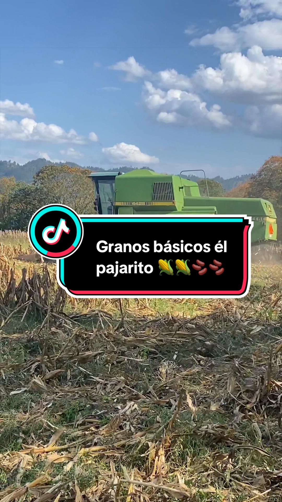@Granos básicos él pajarito 🌽