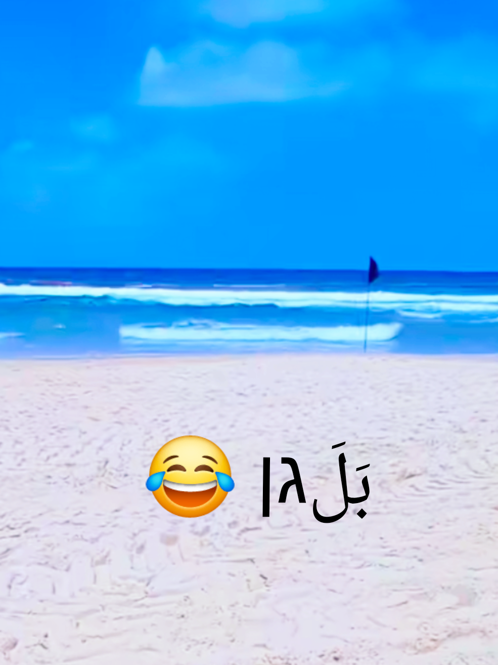 @🥎 דינה מנסור 🦮🐕🐕&zwj;🦺