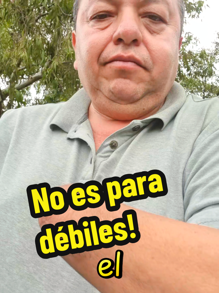 @MLM, VENTAS REDNATURA