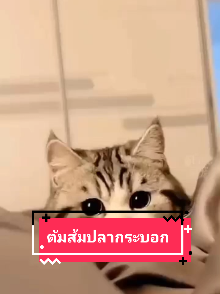 @ครัวโต้รุ่ง บางแสน