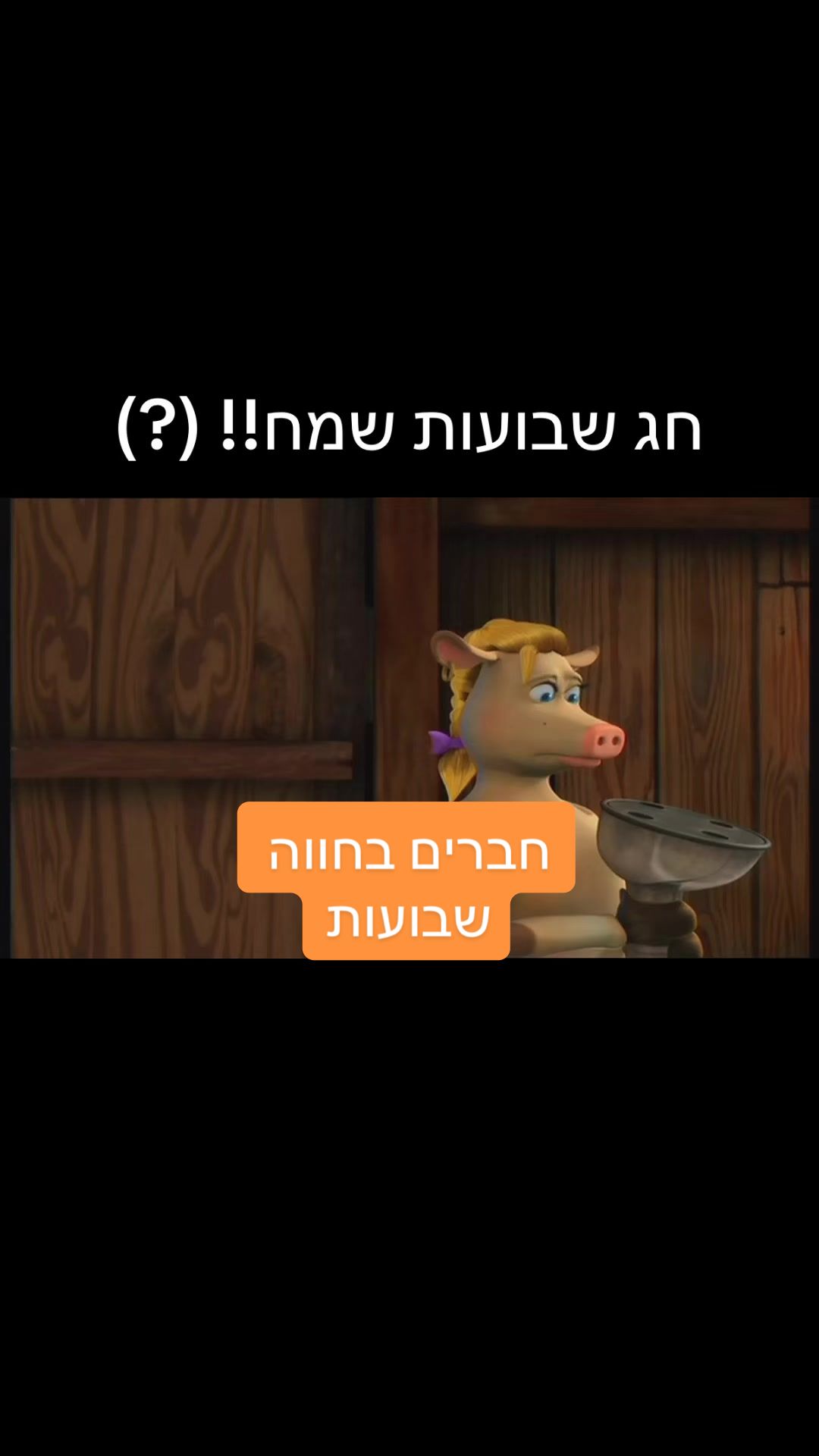 @ניקלודיאון