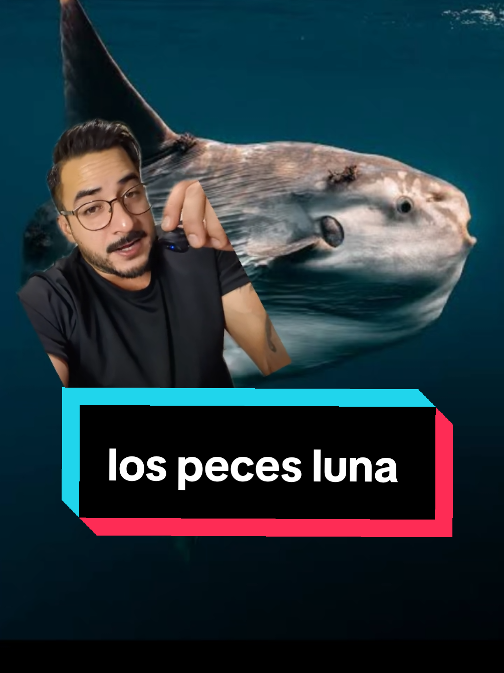 @nolosejose