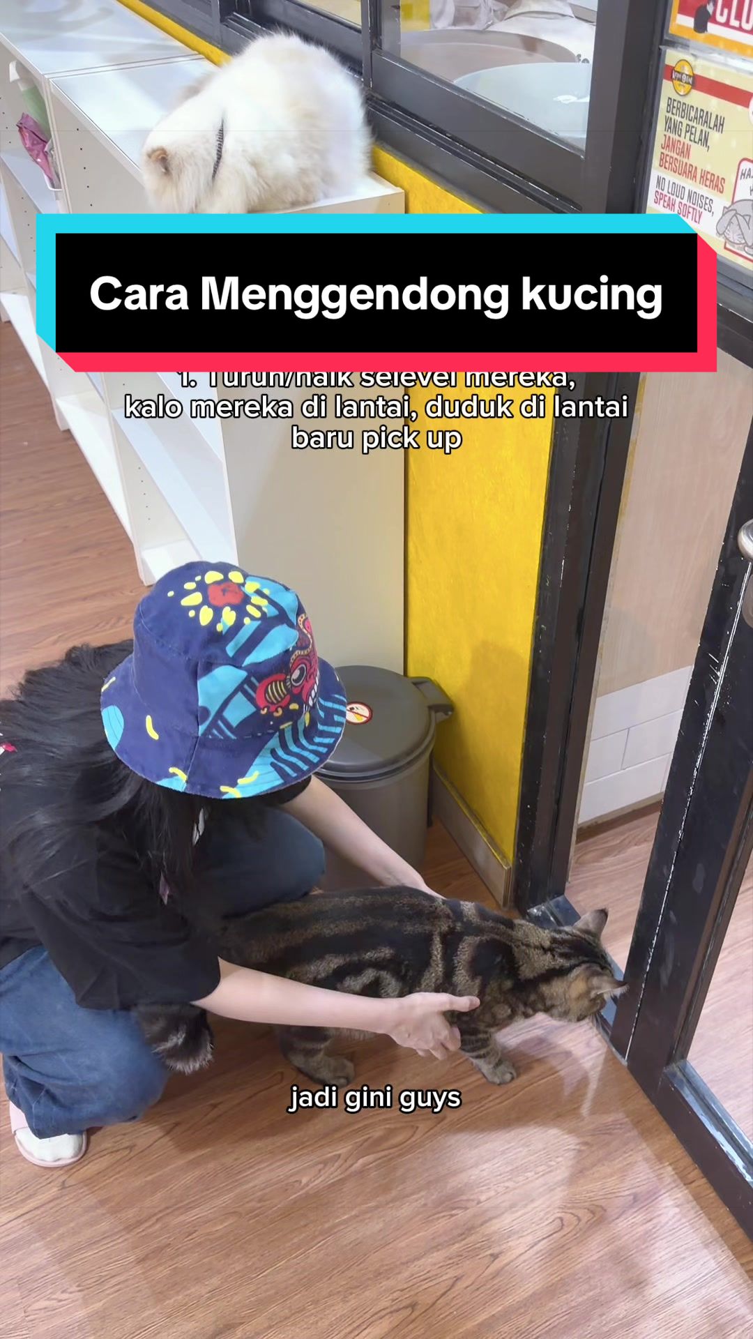 @dr. Incognito