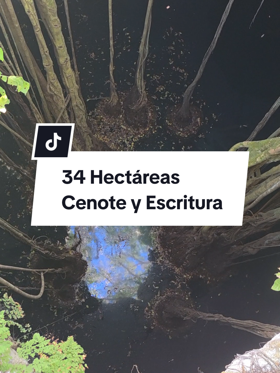 @Jose Chein - Bienes Raices