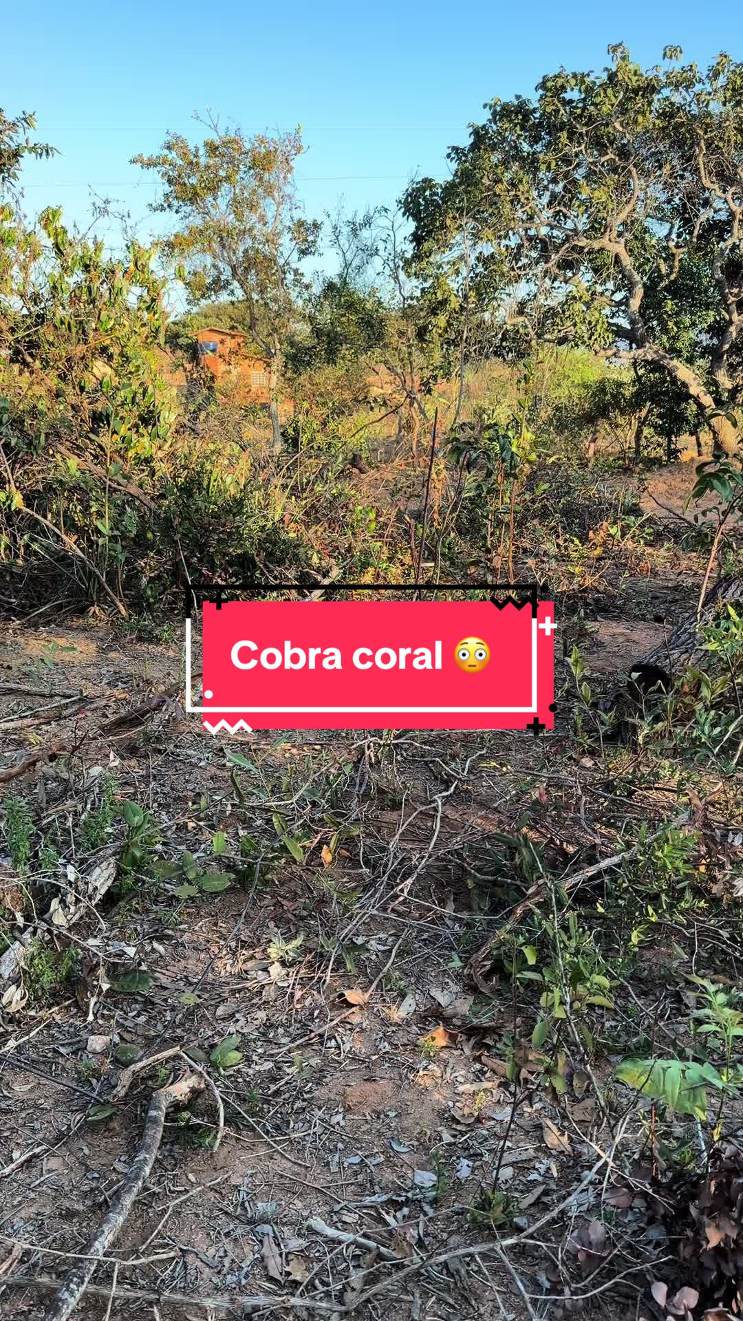@paulo Luciano ( MG)