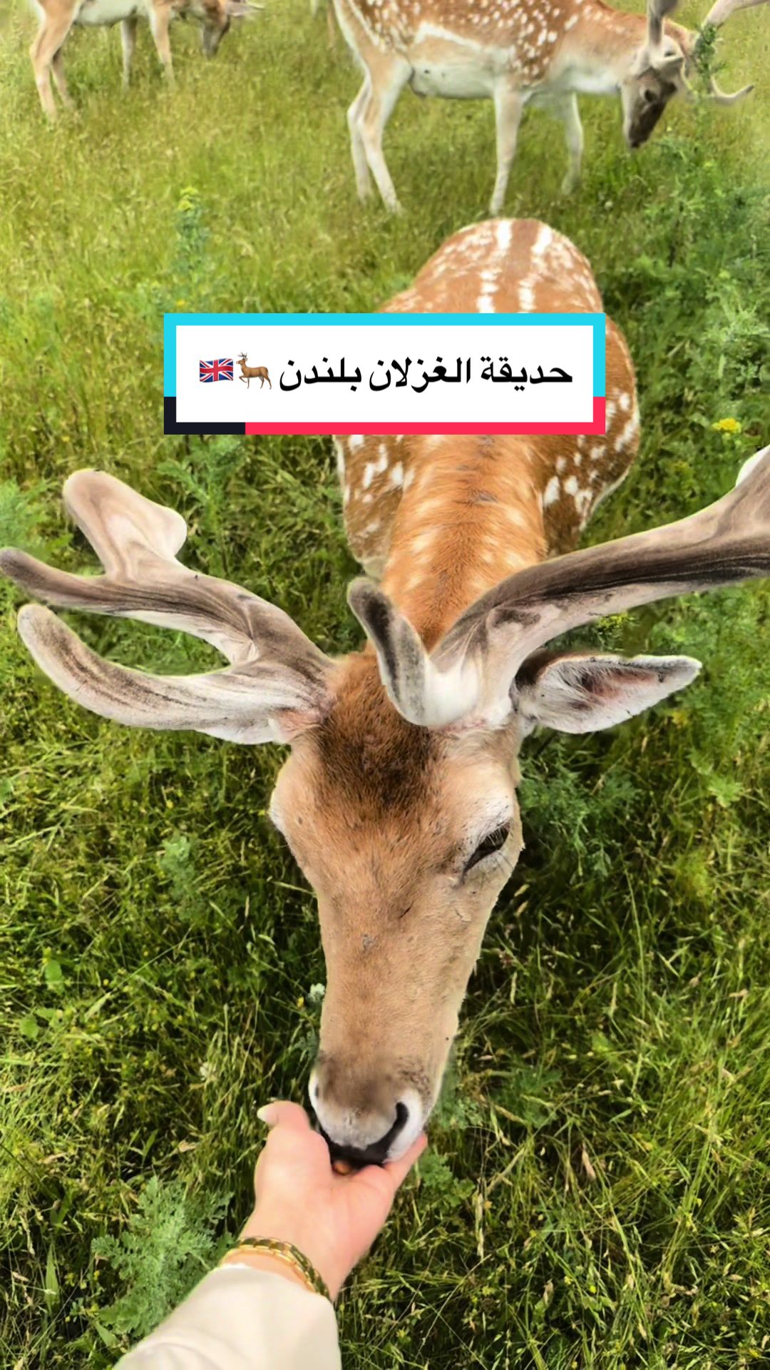 @تغطيات سارة 🛍