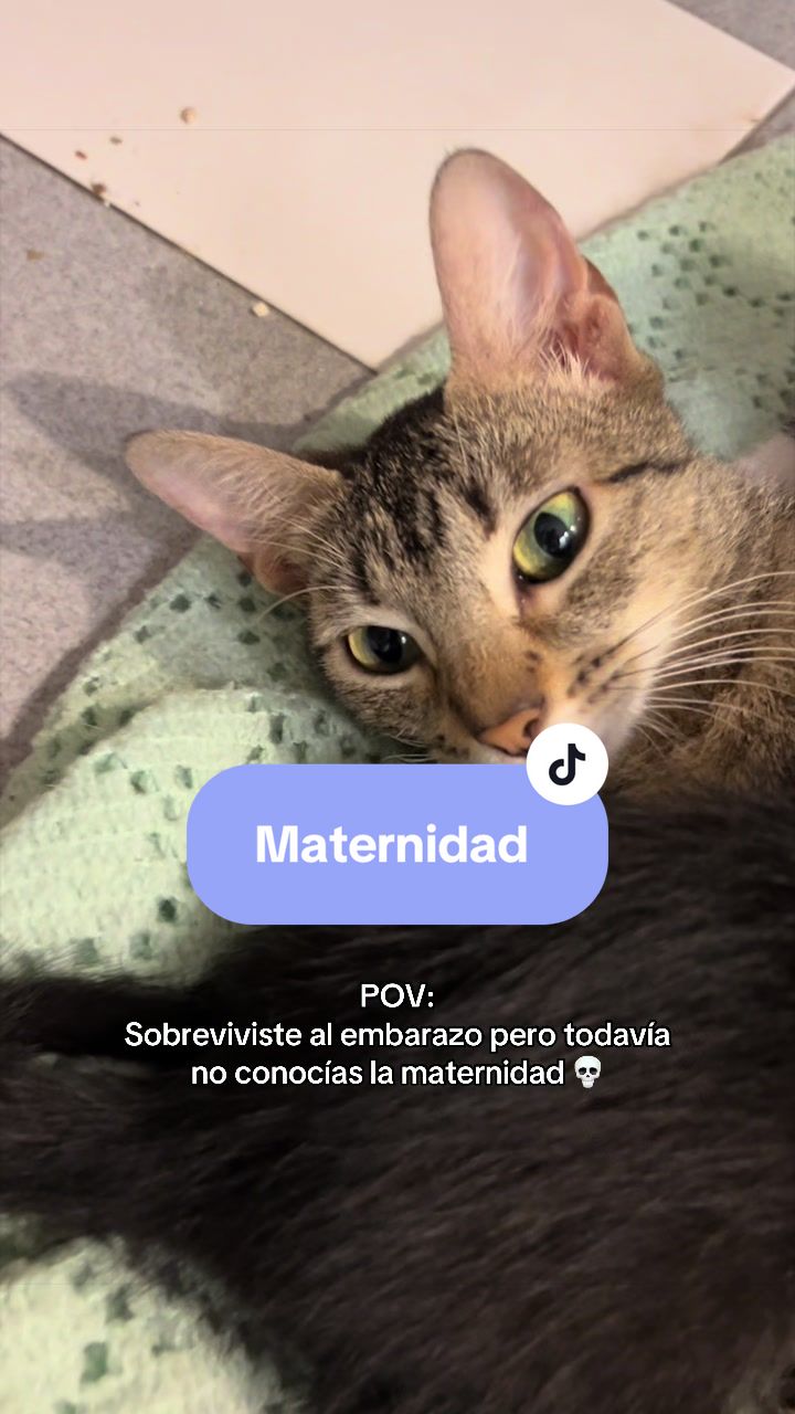 @SABRI