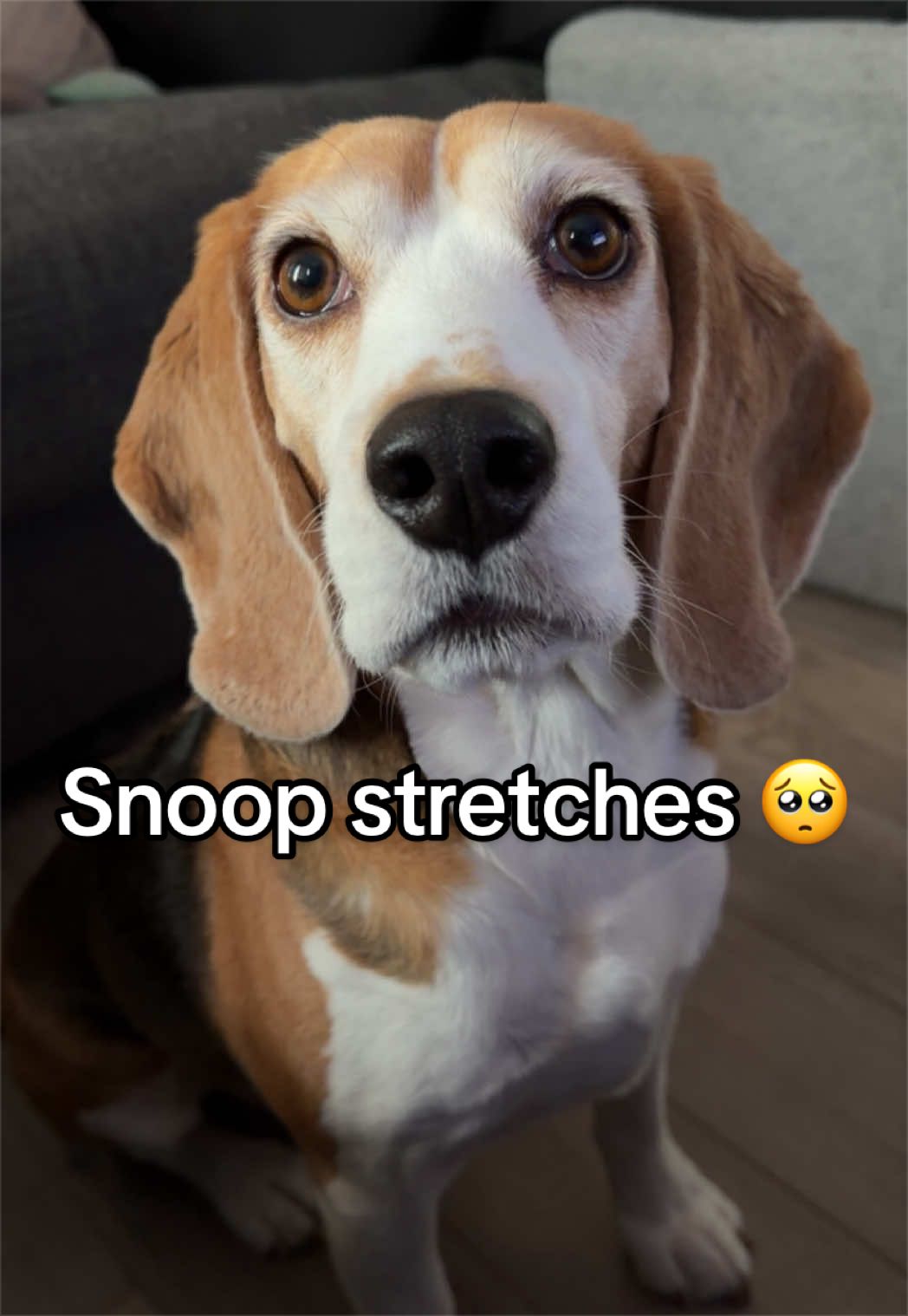 @Swoledamort