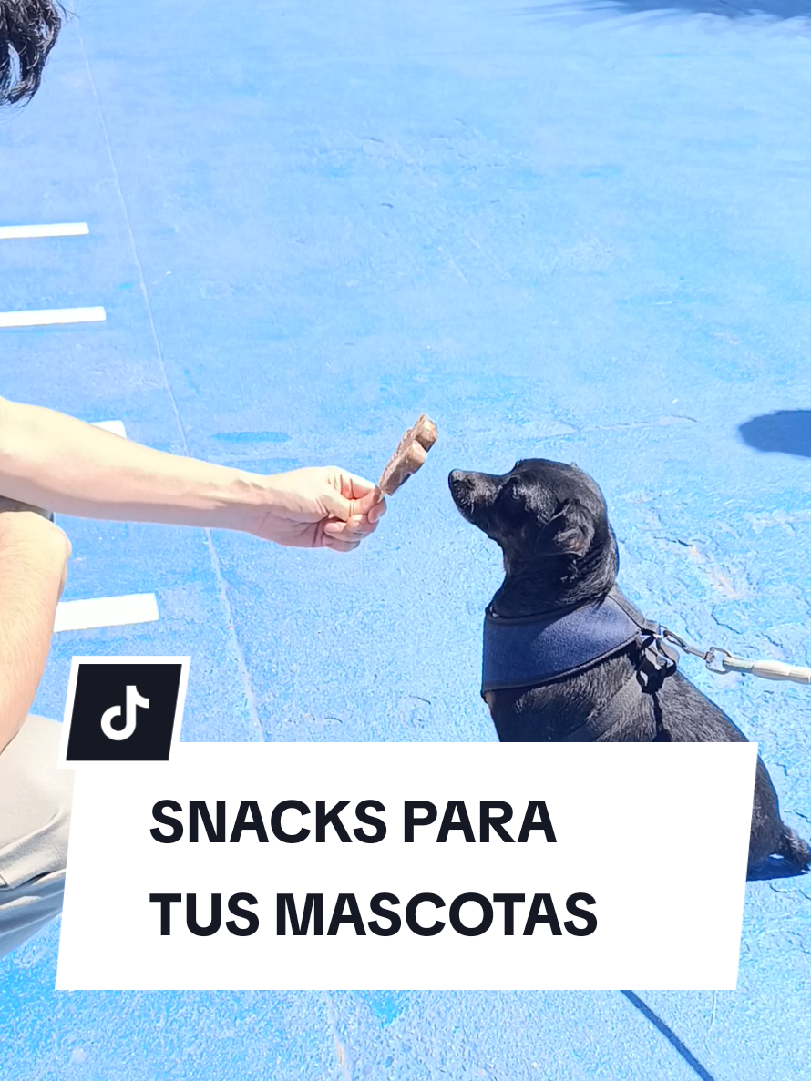 @Doggy Cream