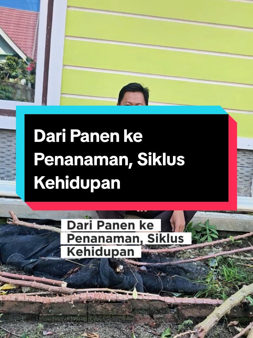@Mr JARNAWI