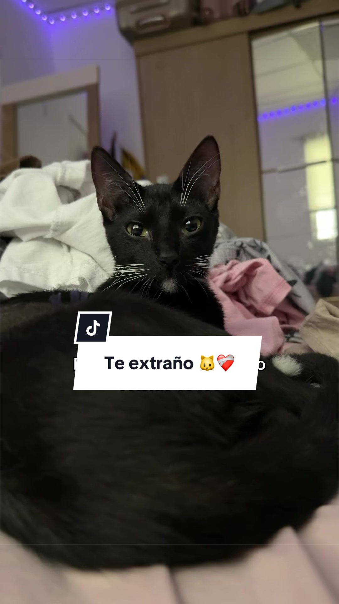 @K L E L I A | Explora