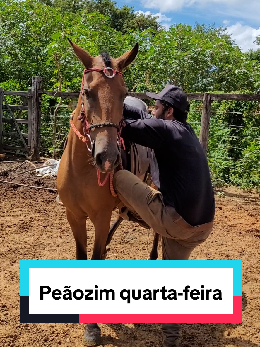 @Jardel Ferreira