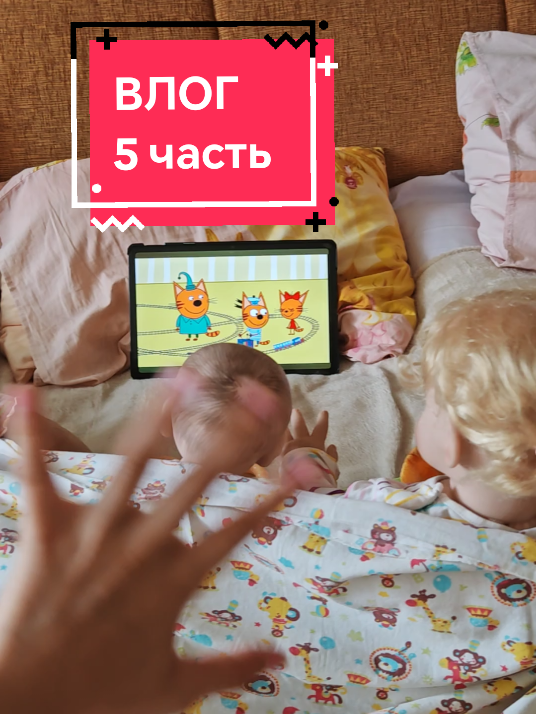 @🐝𝕊𝕒𝕧.𝕒._𝕣𝕖𝕓𝕠𝕣𝕟.𝕤🦕
