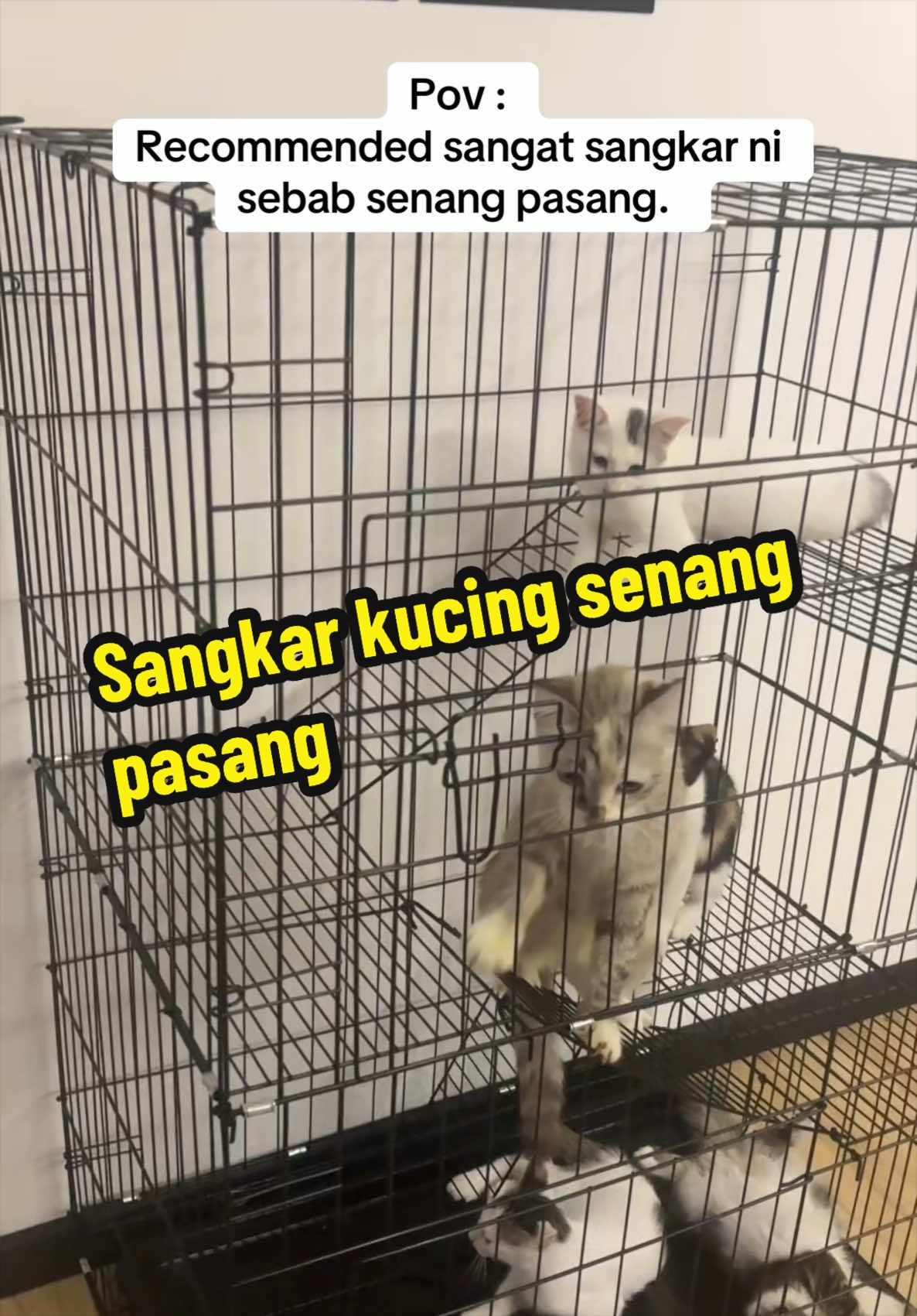 @Scha Aisyah