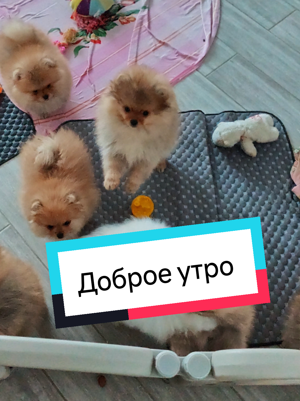 @Veronika Tkachuk
