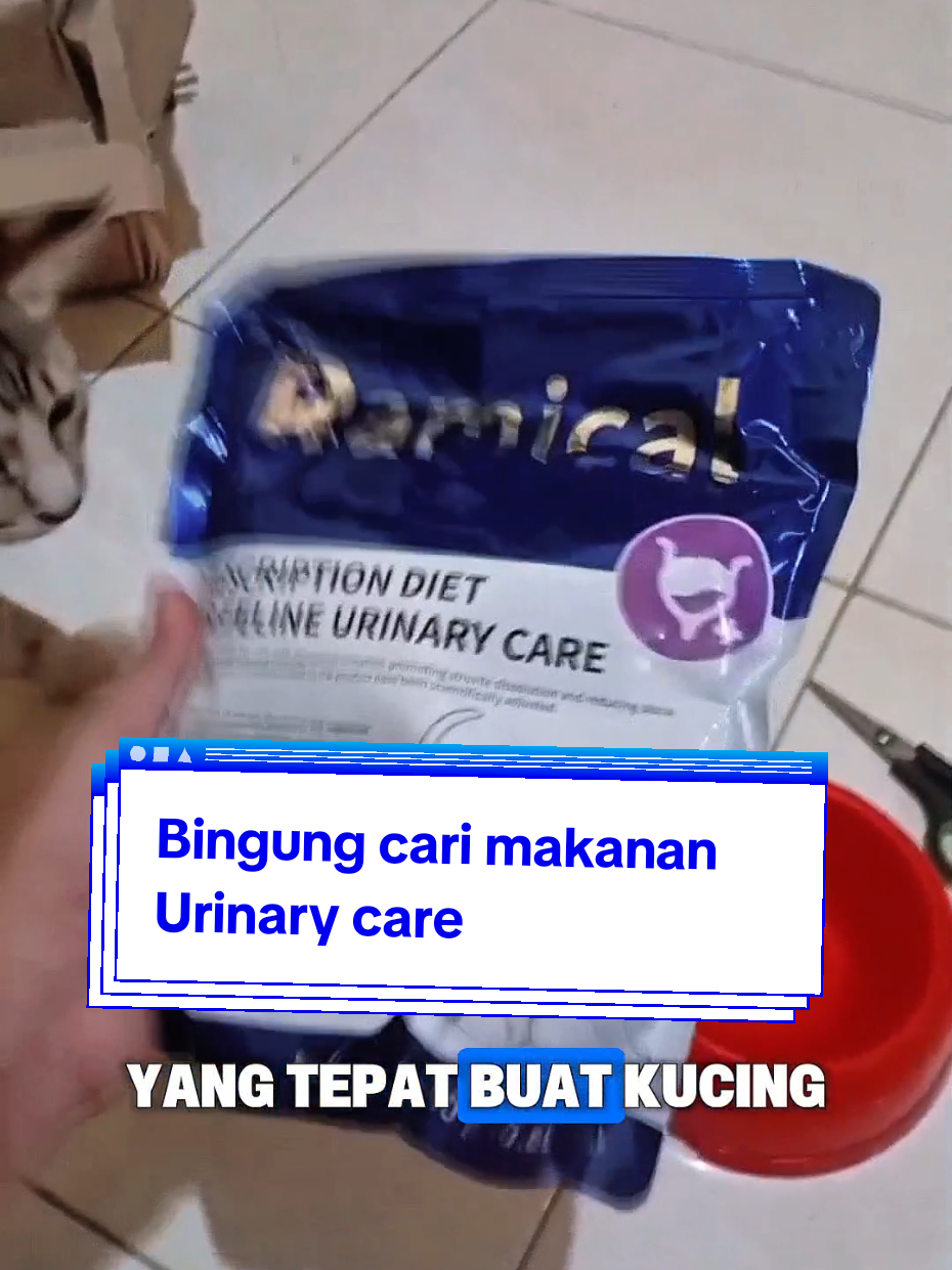 @Medayo Petcare
