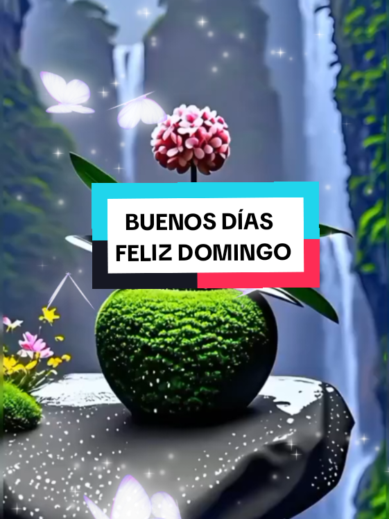 @chin@❤