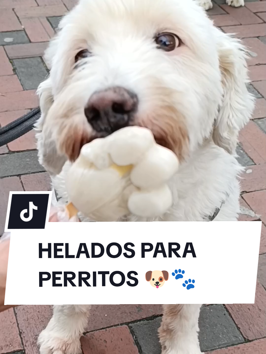 @Doggy Cream