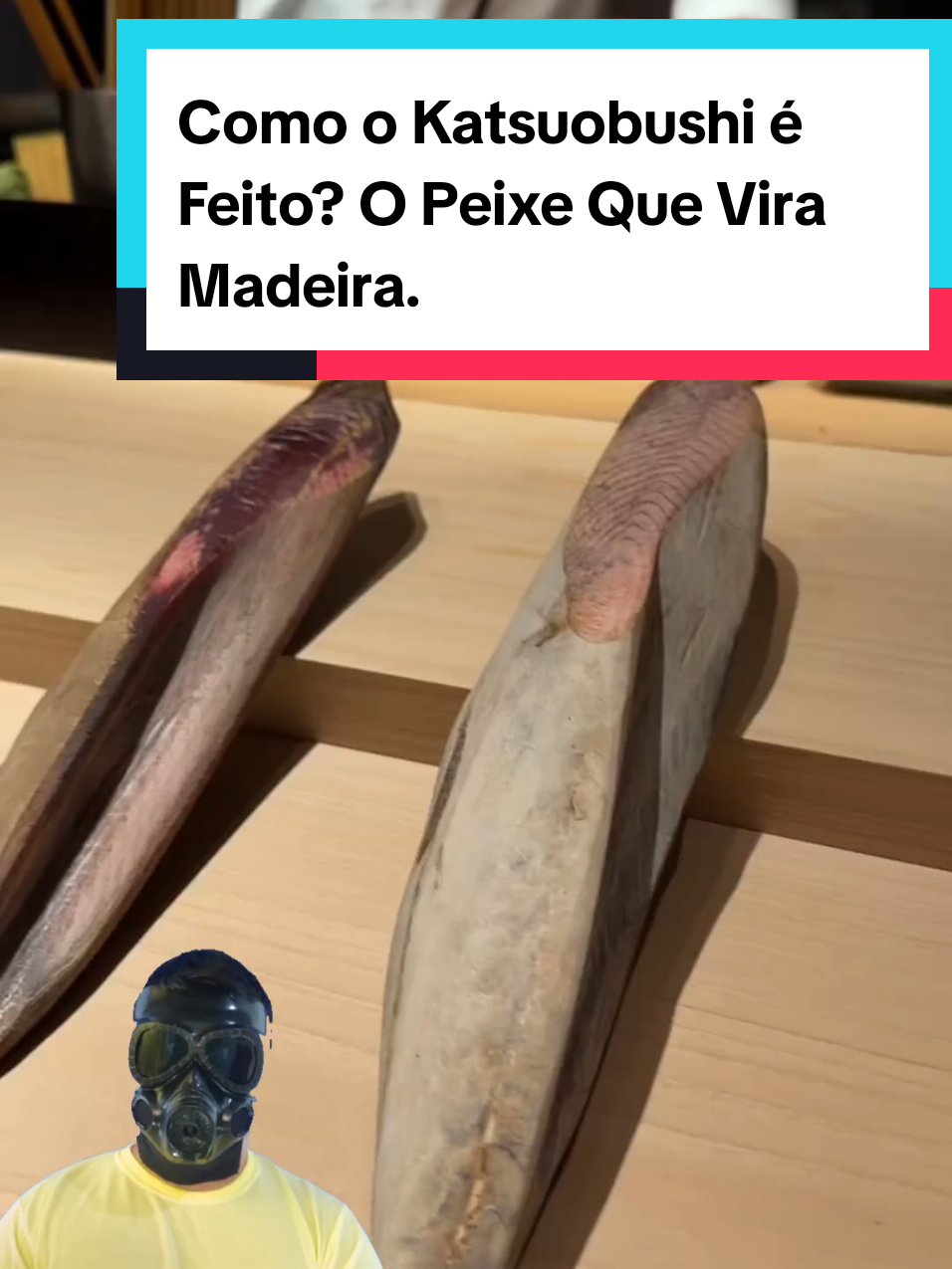 @Mundo da Curiosidades