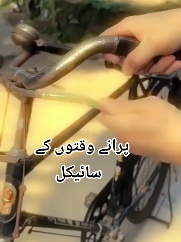 @Bahadur Ali